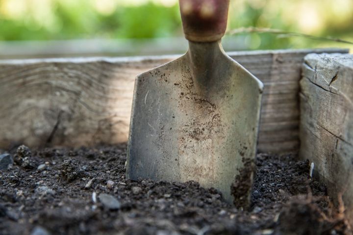 Что делать, если овощи плохо растут на кислых почвах