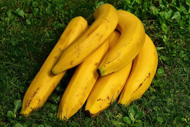 Диетолог Кораблева сравнила пользу зеленых и перезрелых бананов