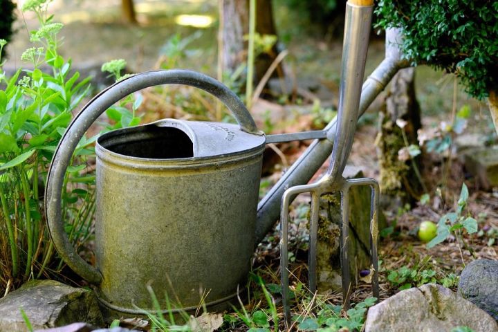 Не повторяйте: 6 ошибок огородников, которые навредят растениям