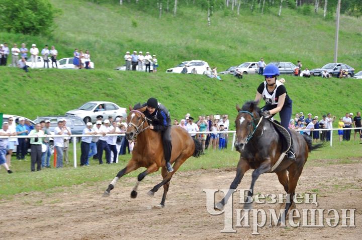 Районный&nbsp; Сабантуй начнется с конных скачек