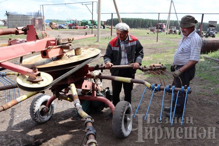 В обществе «Сульча» заготавливают сено и готовятся к жатве