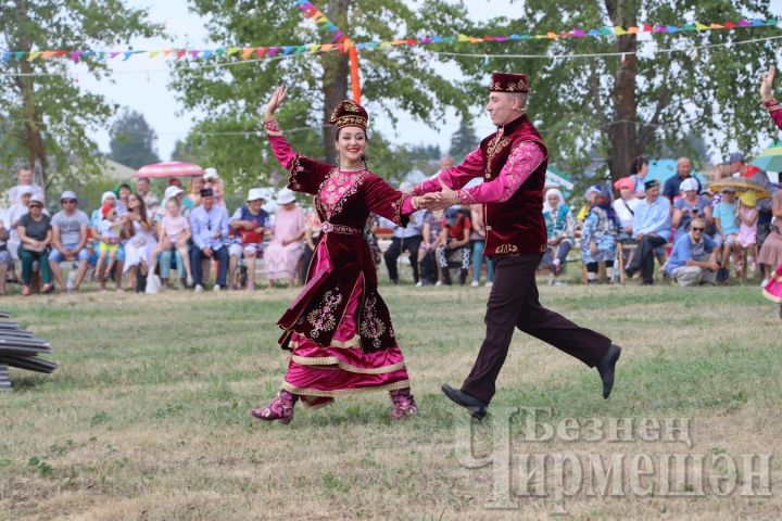 В Черемшанском районе в восьмой раз отметили "День села" в Амирово