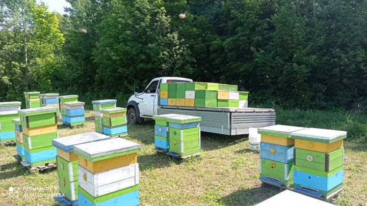 Черемшанские пчеловоды начали качать мед