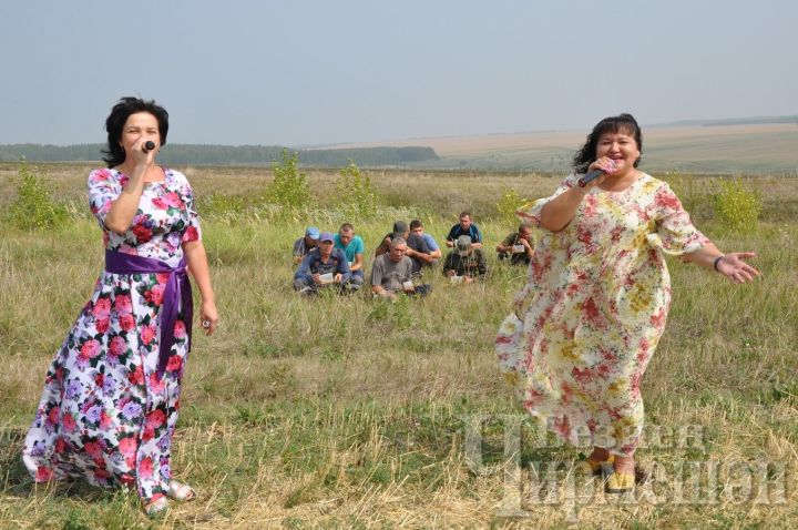 Артисты Черемшанского района порадовали хлеборобов своими песнями