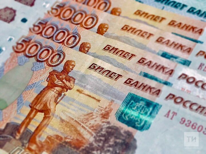 Самозанятым в Татарстане предоставят до 100 тыс. рублей на развитие бизнеса