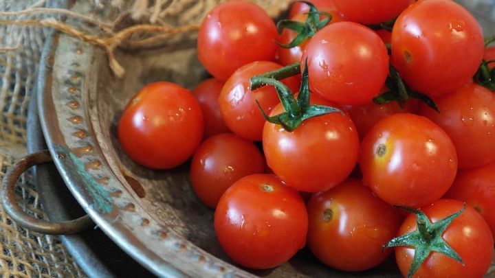Что будет с организмом, если ежедневно есть по 3-4 помидора?
