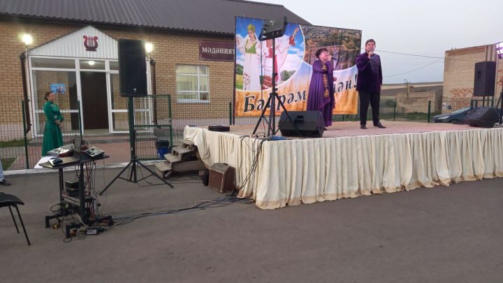 В селах Черемшанского района ставят концерты
