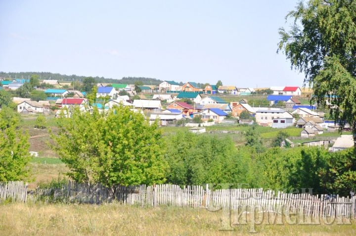 В населенных пунктах Черемшанского района проходят сходы по вопросу введения самообложения