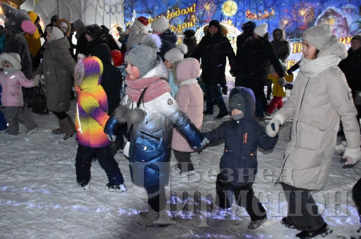 Черемшанские школьники поедут в Казань на новогоднюю елку