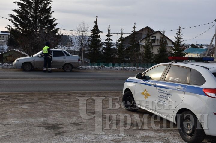 На дорогах Черемшанского района выявили еще одного пьяного водителя