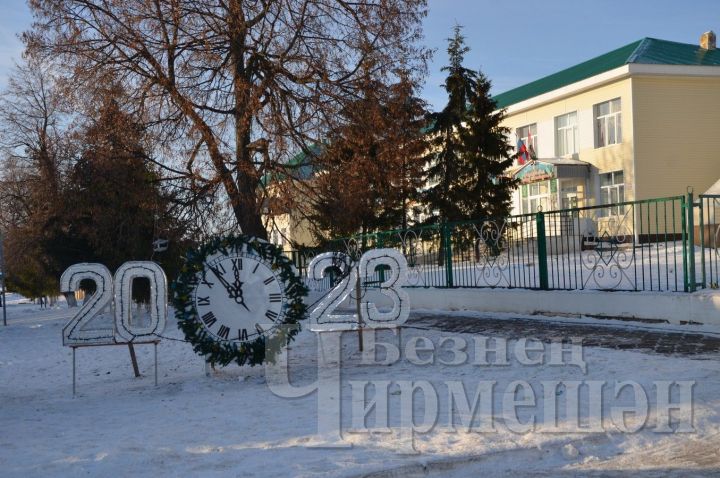 В Черемшанском районе победителям новогоднего оформления территорий вручили премии по 20 тысяч рублей