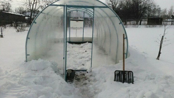 Теплицага кар кертеп калыгыз!