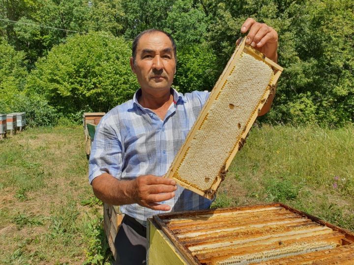 Черемшанские пчеловоды готовятся к новому сезону