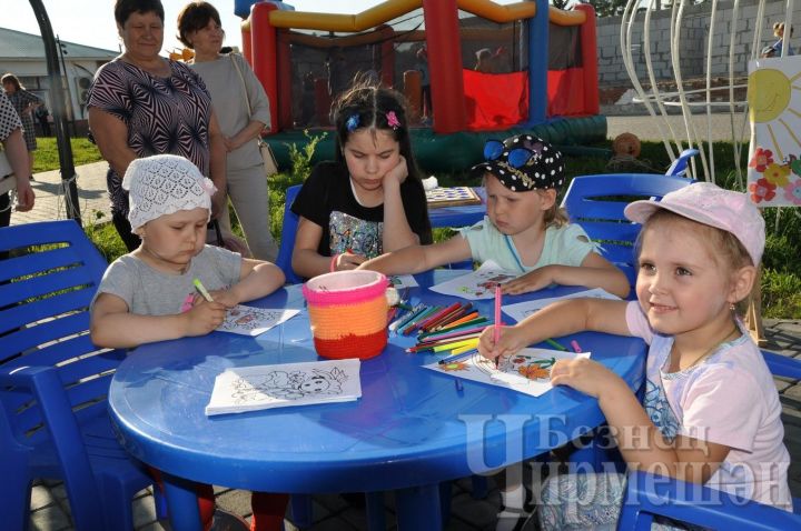 Дети района 1 июня соберутся в Черемшанском молодежном центре