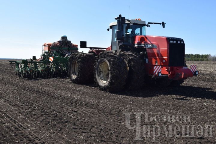 В Черемшанском районе большинство сельскохозяйственных предприятий завершили весенний сев