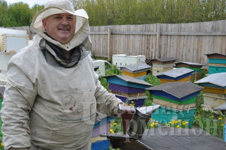 Челнинский пчеловод нашел Шешминку через Интернет