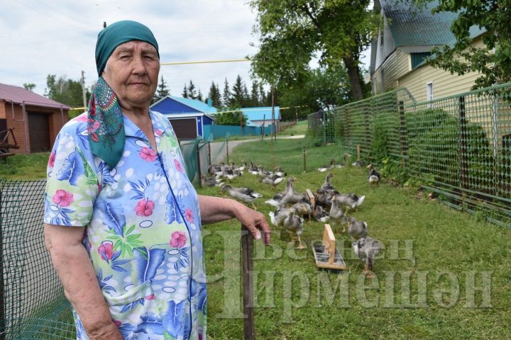 Жительница Лашманки знает секреты выращивания птиц