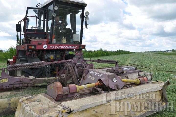 В сельхозпредприятиях Черемшанского района ремонтируют кормозаготовительную технику