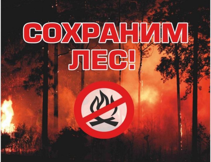 Жителям Черемшана запретили посещать лес