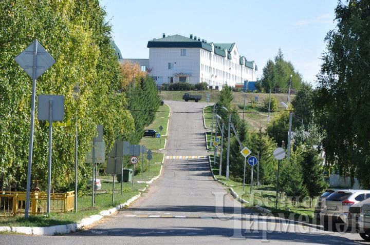 В Черемшанском районе за прошедшую неделю у 13 человек подтвержден диагноз “коронавирус»