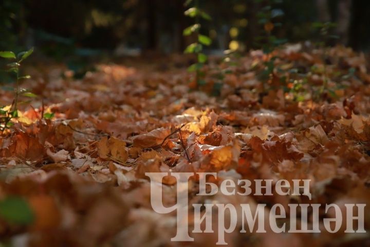 Татарстанда әбиләр чуагының әле тагын буламы-юкмы икәнлеген әйттеләр