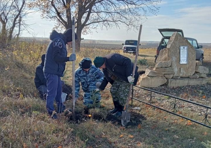 В Черемшане на месте гибели полицейского посадили ели