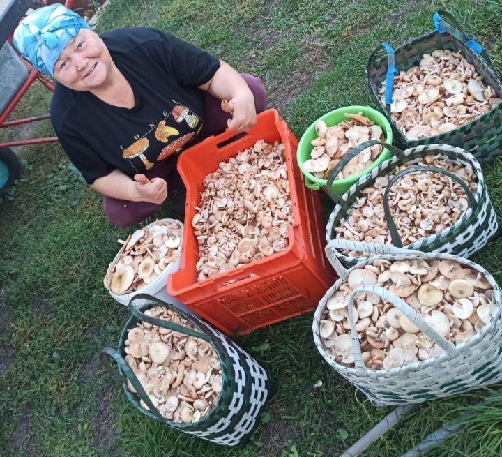 Жительница Черемшана собирать грибы ездила даже в леса Марий Эл