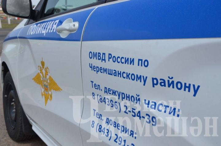 Возле села Карамышево остановили пьяного водителя