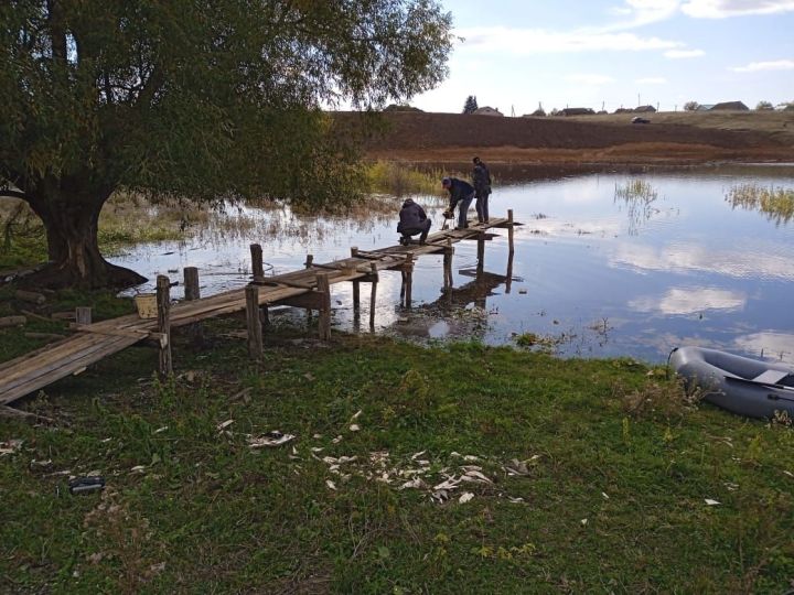 Новоильмовцы в отремонтированный пруд запустили мальков