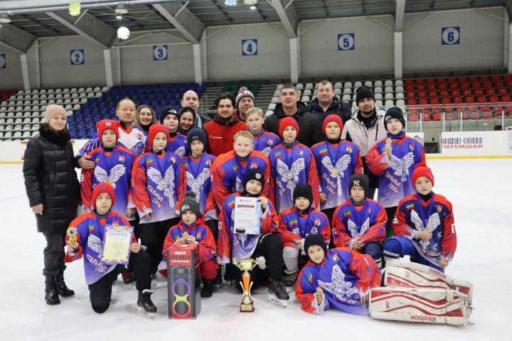 «Стальные совы» стали победителями турнира по хоккею на призы общества «Шешмаойл»