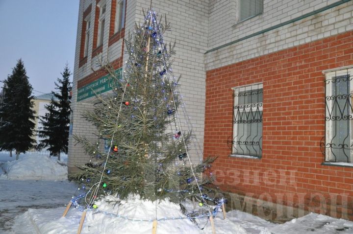 Чирмешәндә  чыршы, нарат агачларын законсыз кисүчеләрне ачыклаячаклар