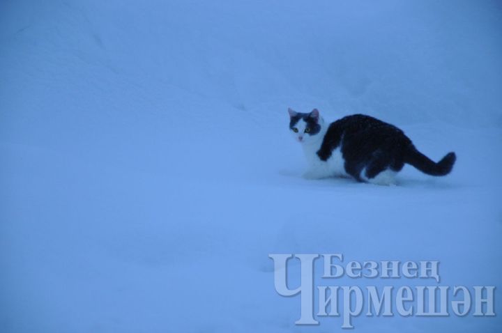 Народные приметы на 28 декабря