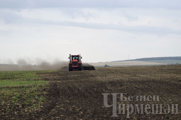 В Татарстане в оборот возвращено 35,8 тыс. га сельхозугодий