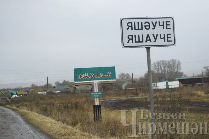 Сыер Фатыйма апага да кирәк