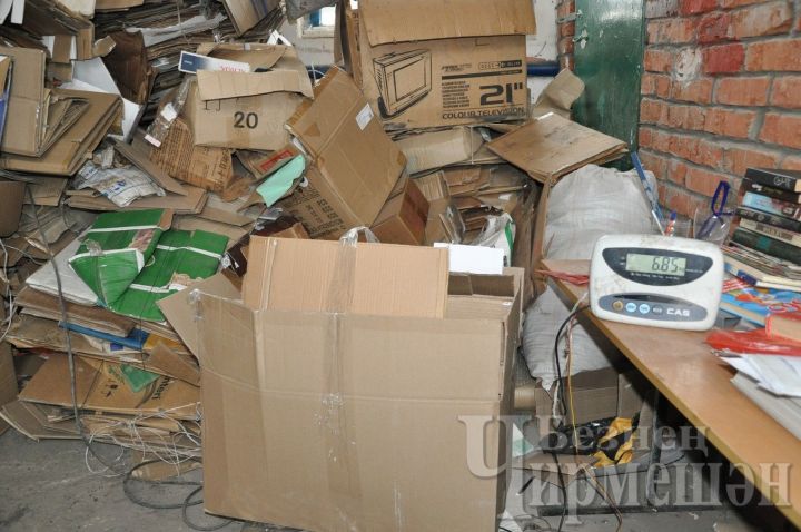 В прошлом году учащиеся Черемшанского района собрали более 60 тонн макулатуры, 15 тонн пластика