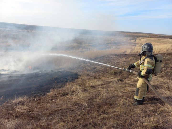 В Черемшанском районе участились случаи возгорания сухой травы
