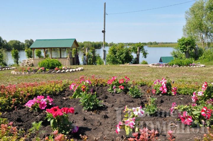 Майские шпаргалки садоводу