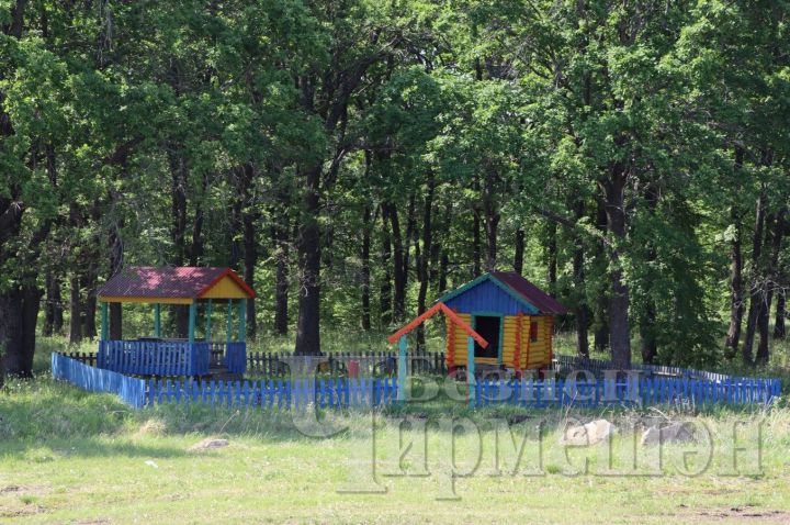 В лесах Черемшанского района ограничили пребывание граждан