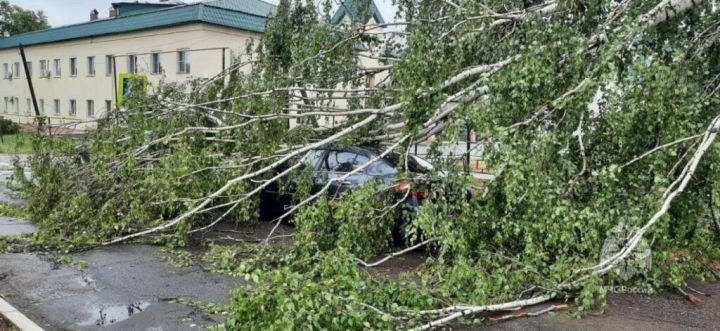 Прошедший в Татарстане ураган снес крыши домов и повалил деревья