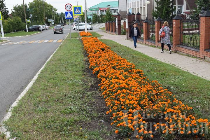 Ял көннәрендә Татарстанда 26 градуска кадәр җылытачак