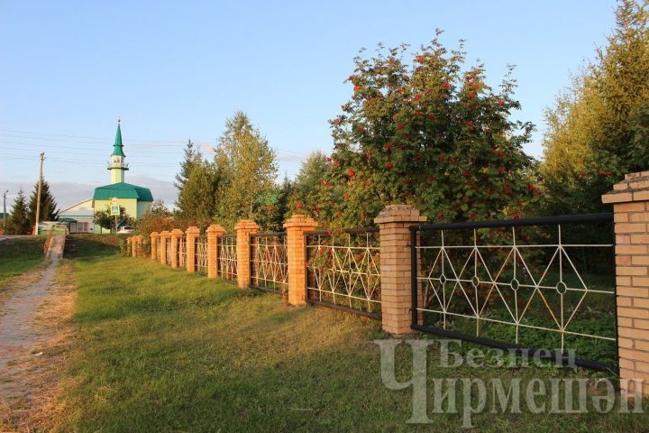 Синоптиклар -2 градус салкын һәм кырау төшәчәге турында кисәтәләр