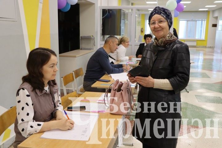 В шести поселениях Черемшанского района проходят выборы депутатов