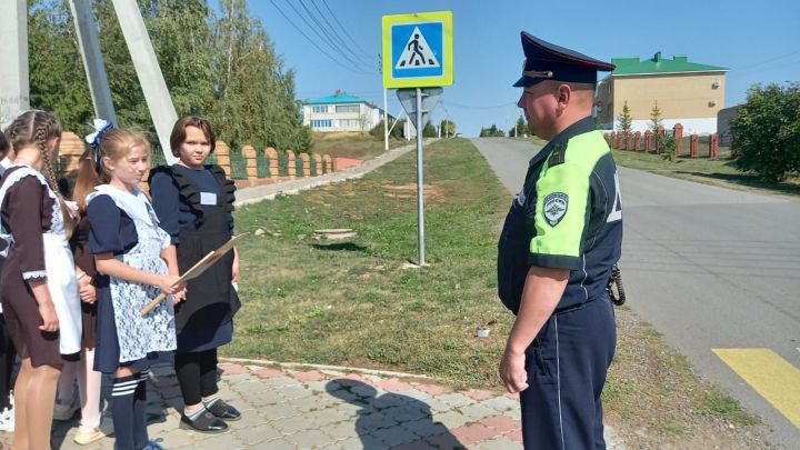 Чирмешәндә җәяүлеләр юл аша инспектор белән чыгып караганнар