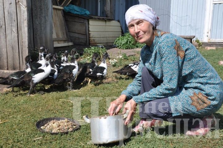 Назия Хафизова оставила квартиру в Москве и переехала в Старое Кадеево