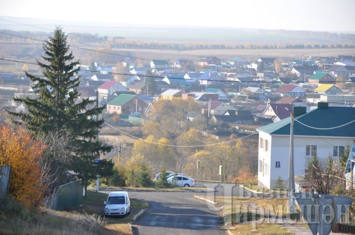 Татарстанцев предупредили о заморозках до −1 градуса и сильном ветре