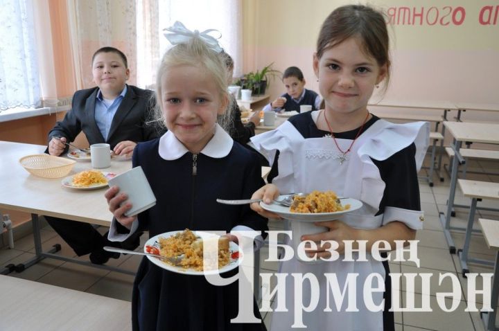 Чирмешән районы мәктәпләре ашханәләрендә менюны һәр көнне төрләндерәләр