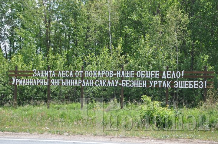 В лесах Черемшанского района вновь ограничили пребывание граждан