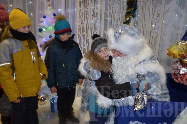 В Черемшанской резиденции Деда Мороза погостили 1500 детей