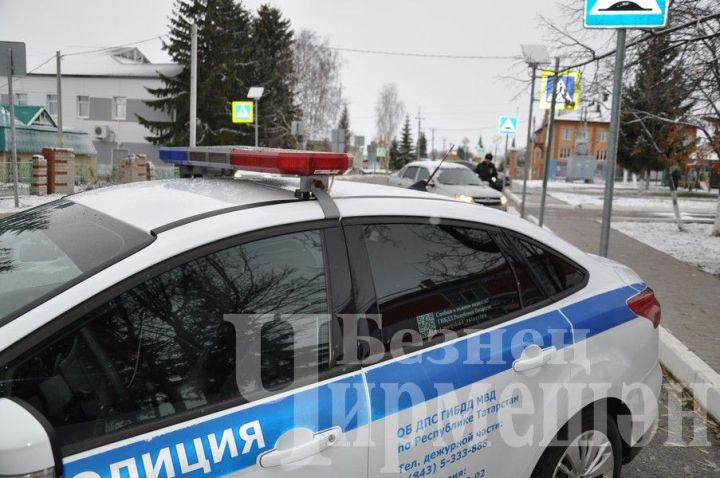 Черемшанские автоинспекторы поздравили водителей с Новым годом