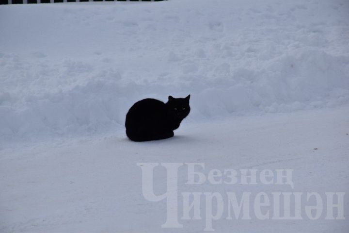 Народные приметы на 26 января
